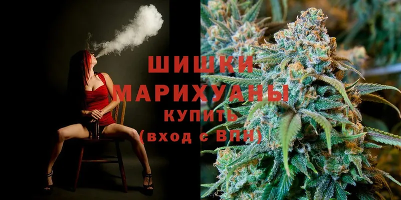 MEGA как зайти  Суджа  Шишки марихуана THC 21%  цены наркотик 